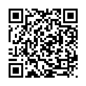 先别走漏消息……飘飘带着他俩先整理二维码生成