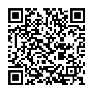 先前与血姬冷说的那不能飞行之语虽然应是真的二维码生成