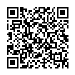 先前他们以为收买了德川佳子寝宫外围的八个皇室武士二维码生成