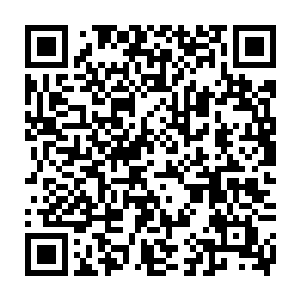 先前他们本以为洛尔城的长阳府只是一个和守护家族重名的小家族而已二维码生成