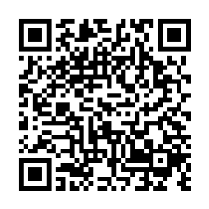 先前他们还以为派出的黑衣人逃走了德川佳子没抓到证据二维码生成