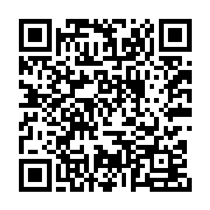 先前他还以为陆为民可能有夏力行秘书这一原因二维码生成