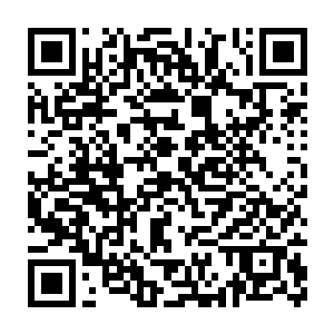 先前他还纳闷怎么会带一个老迈年高的老人家来这危险重重的幽云山脉二维码生成