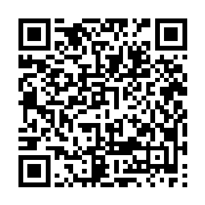 先前只是看上去貌似翡翠一般的泥土光芒大盛起来二维码生成