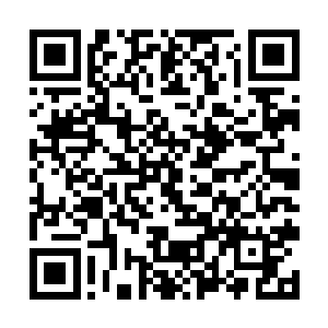 先前周狼也觉得一百万美元一晚的女人实在是太贵了二维码生成