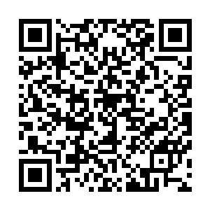 先前唐厉葆等一干猎兽小队修士看到的那从空中坠落的元光二维码生成