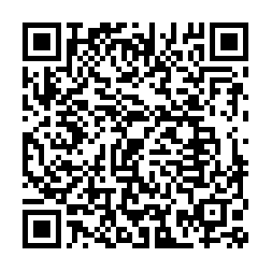 先前因为看到杨开那瘦弱的体型生出的些许排斥和不屑也荡然无存二维码生成