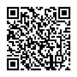 先前她将含有自己一缕神识放进火剂子的灯笼里面二维码生成