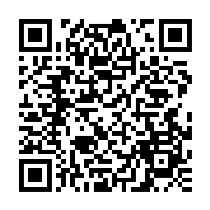 先前就听其他玩家说这个全息网游中的NPC设定简直是太逼真了二维码生成