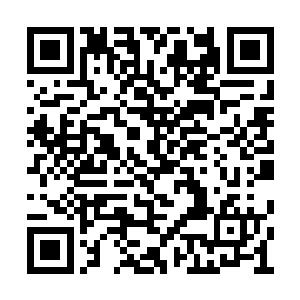 先前并不知道的张辽和胡车儿也露出了惊喜之色二维码生成