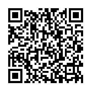 先前武器和陈诚疯狂打大龙为队伍带来了不小的优势二维码生成