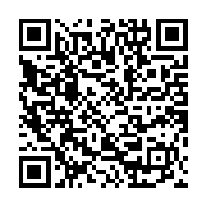 先前的烟雾弹和闪光弹起到的作用并不是想象当中的明显二维码生成