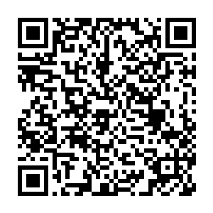 先前自己让他做自己小弟的时候他唧唧歪歪的说什么战争魂兽的尊严二维码生成