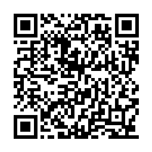 先前若不是这位小兄弟及时发现那些异兽的弱点二维码生成