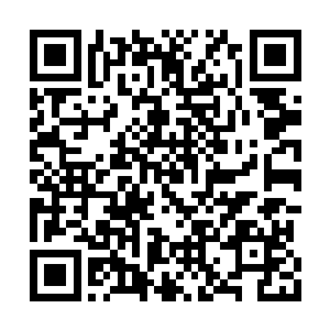 先前被秦宇抓住手腕的林家小子恢复了自由之后二维码生成