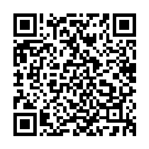 先前还会不由自主被她身上新鲜血液的气息吸引目光的笛家人们二维码生成