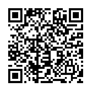 先前还气势汹汹的两大圣皇就带着自己的人灰头土脸的离去了二维码生成