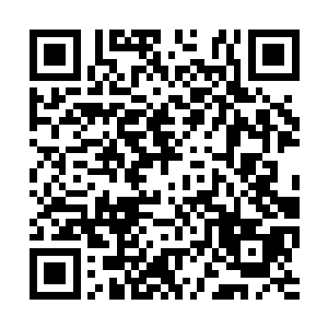 先前还没有撤离河滩的冒险者们纷纷吓得胆战心惊二维码生成