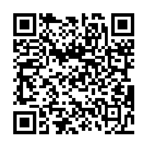 先前那些围过他们的几百号仙人竟是游离在下面街道上二维码生成