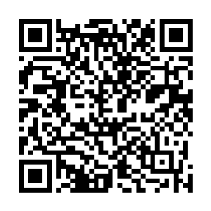 先前那只被南斗飞龙拳打伤的巨怪碾踏并穿过了整栋屋子二维码生成