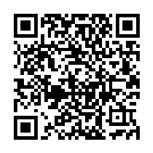 先前那领着杨开等人进来的蛮族勇士忽然讥讽地望着阿虎道二维码生成