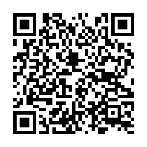 先天蟠桃树的霞光瑞气虽然瞬间就被弥勒分身破开二维码生成