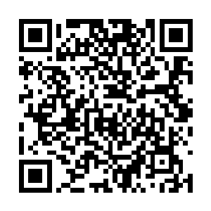 先头进来的那个青年已经打听出了东方少奇的房号二维码生成