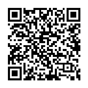 先学这个最起码在打猎和分配的时候能起到作用二维码生成