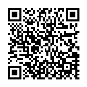 先映入眼帘的就是山谷最中央的一座气势恢宏的金色的大殿二维码生成