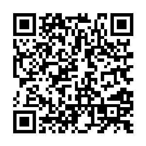 先是海兰泡的五千余中国居民被全部像赶鸭子一般二维码生成