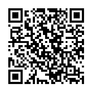 先是满村子找人家有果树的用点儿树苗树枝之类的二维码生成