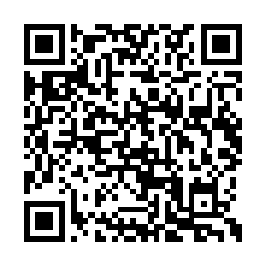 先是猫捉老鼠一般的让他施展出自己的全部本事二维码生成