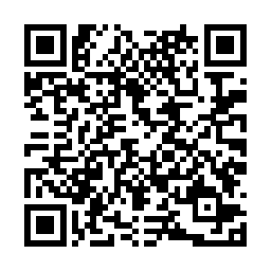 先熬出来的给这个院子里的所有健康人都喝上一碗二维码生成