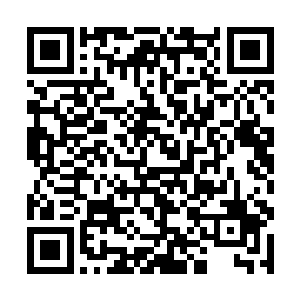 先生既然想要神宝就一定不会加入奥比斯大帝的阵营二维码生成