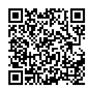 先生的意思是我学四妹妹用左手写字是浪费精力二维码生成