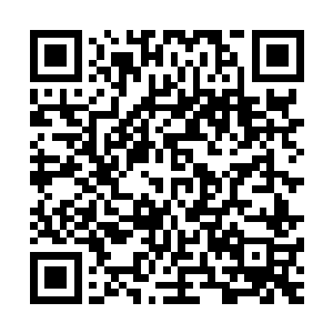 先皇怎么可能给自己宠爱的皇子选择一个家世如此寒微的嫡妃二维码生成
