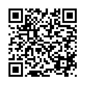 先缴纳和支付工人们的社保和工资二维码生成