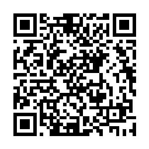 先让苗毅在自己带回的成绩上写下天庭身居的职位和姓名二维码生成