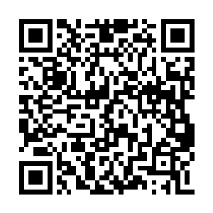 先说说这次寒仙门派了多少人来维持赛场秩序吧二维码生成