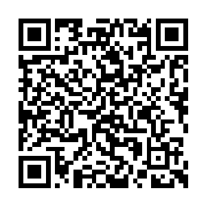 先走到那处峡谷口掐了一个发诀将谷口隐藏起来二维码生成