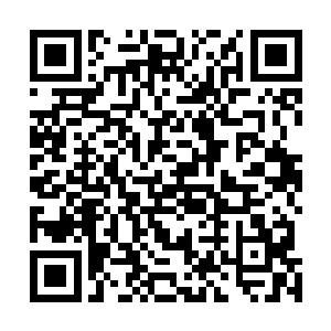 光头佬和一百多个英盟小弟提前控制了三联会的各大舵主二维码生成