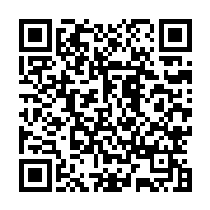 光头强发现自己满脑子想的竟然不是两千五百万而是夏云杰二维码生成