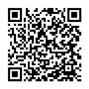 光头强心底涌起一股冲向徳雅小区对着夏云杰顶礼膜拜的冲动二维码生成