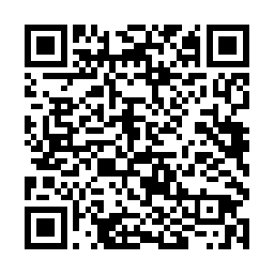 光头强盯着电视屏幕足足发呆了五分钟才回过了神来二维码生成