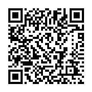 光头男子一把抢过了第二排一名富态男子手上的钱包二维码生成