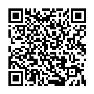 光头看到不知从哪突然冒到姜美玲沈冰的张小凡二维码生成