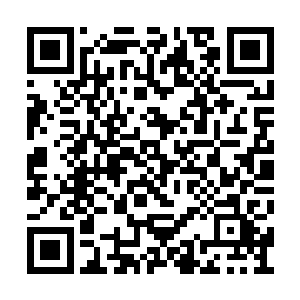 光头青年和几个核心弟子则聚集在营地的主殿中二维码生成