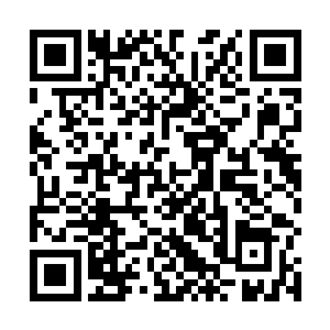光幕上面赫然是外面赤焰大帝和变异嗜血藤交战的一幕二维码生成