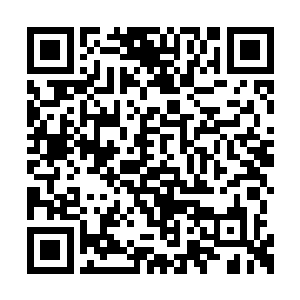 光恩帝主动地说出了自己此次此次请他来的目的二维码生成