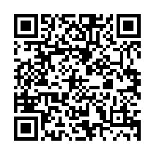 光明圣殿殿主羽尘与圣光塔器灵交流的时间并不长二维码生成